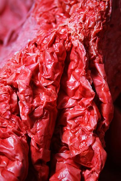 Clive Moloney, Body , latex, air, polycarbonate tube and LED lights, 2015