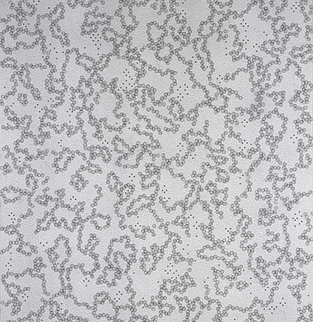 Taney Roniger, Cellular Automata Series (Scape #7), oil and synthetic polymer on canvas, 40” x 40", 2011