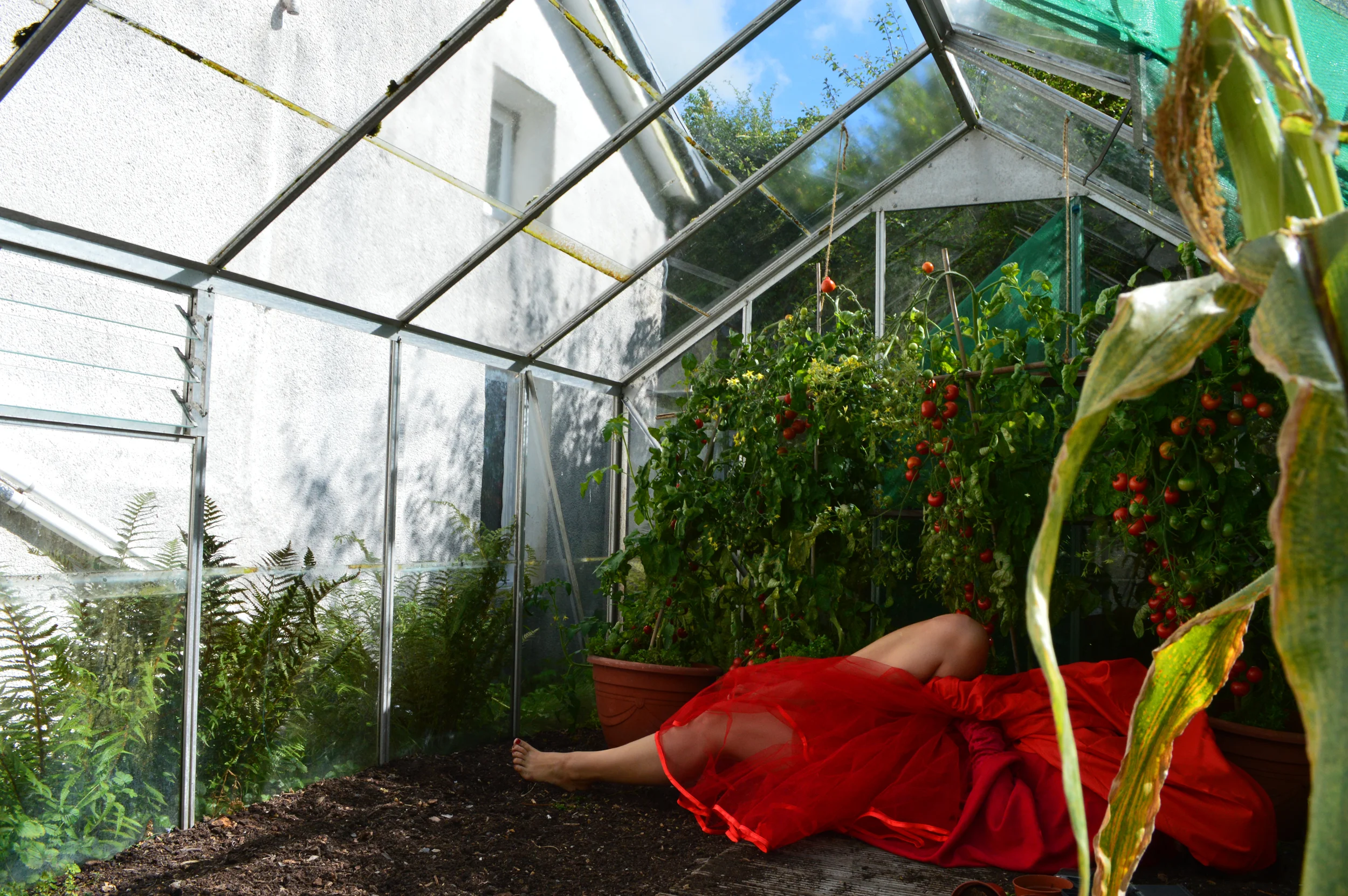 The Greenhouse, 2015 , Robyn LeRoy-Evans, http://robynleroyevans.com/