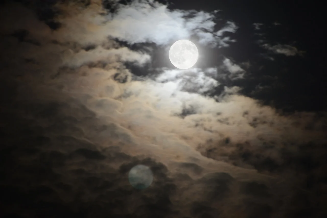 Lee Deigaard, Moons Adore , dye-sublimation prints on aluminum, 2014/8