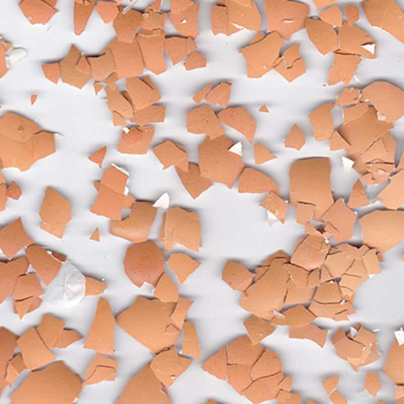 Riley Teahan _ How the light gets in 4.png