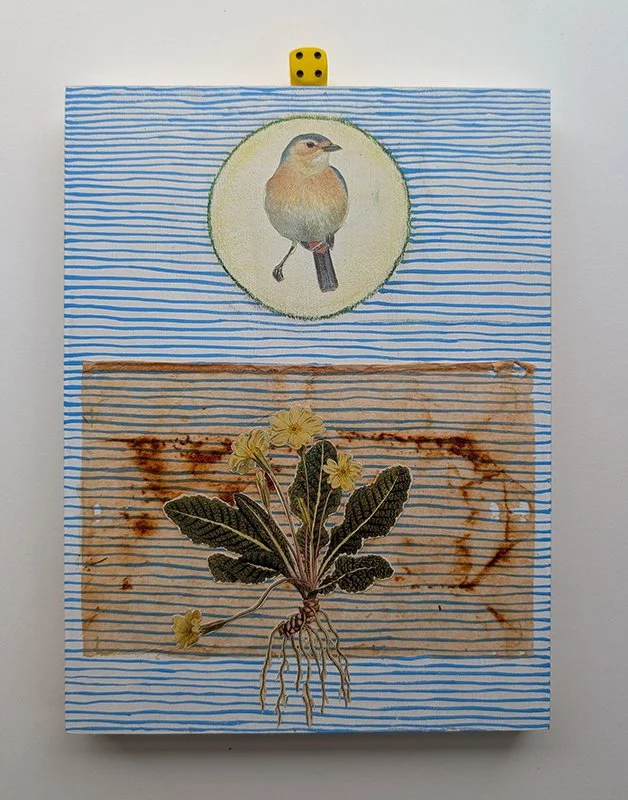 1_Peggy Gomez_Bird and Plant.jpg