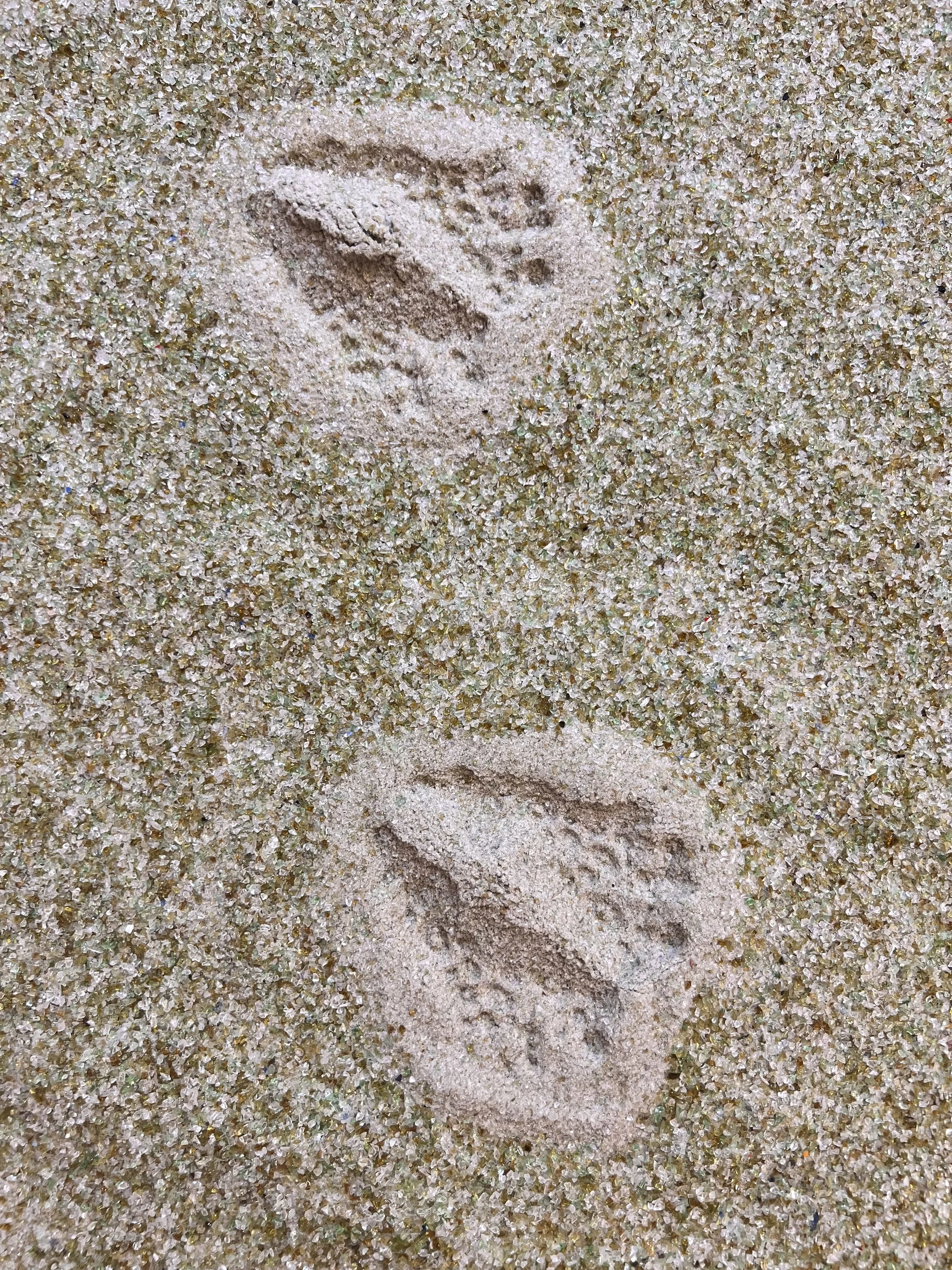 2_DOSS AOOAO_Diane Appaix-Castro and Lera Niemackl.jpeg