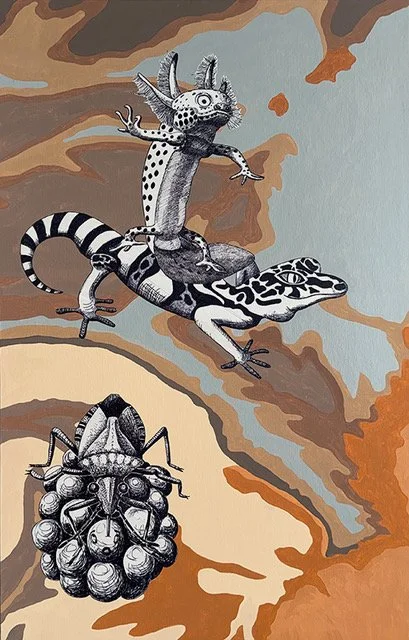 2_Ulrika Matthiessen_alpine newt, black&white tegu, marmorated stinkbug.jpeg