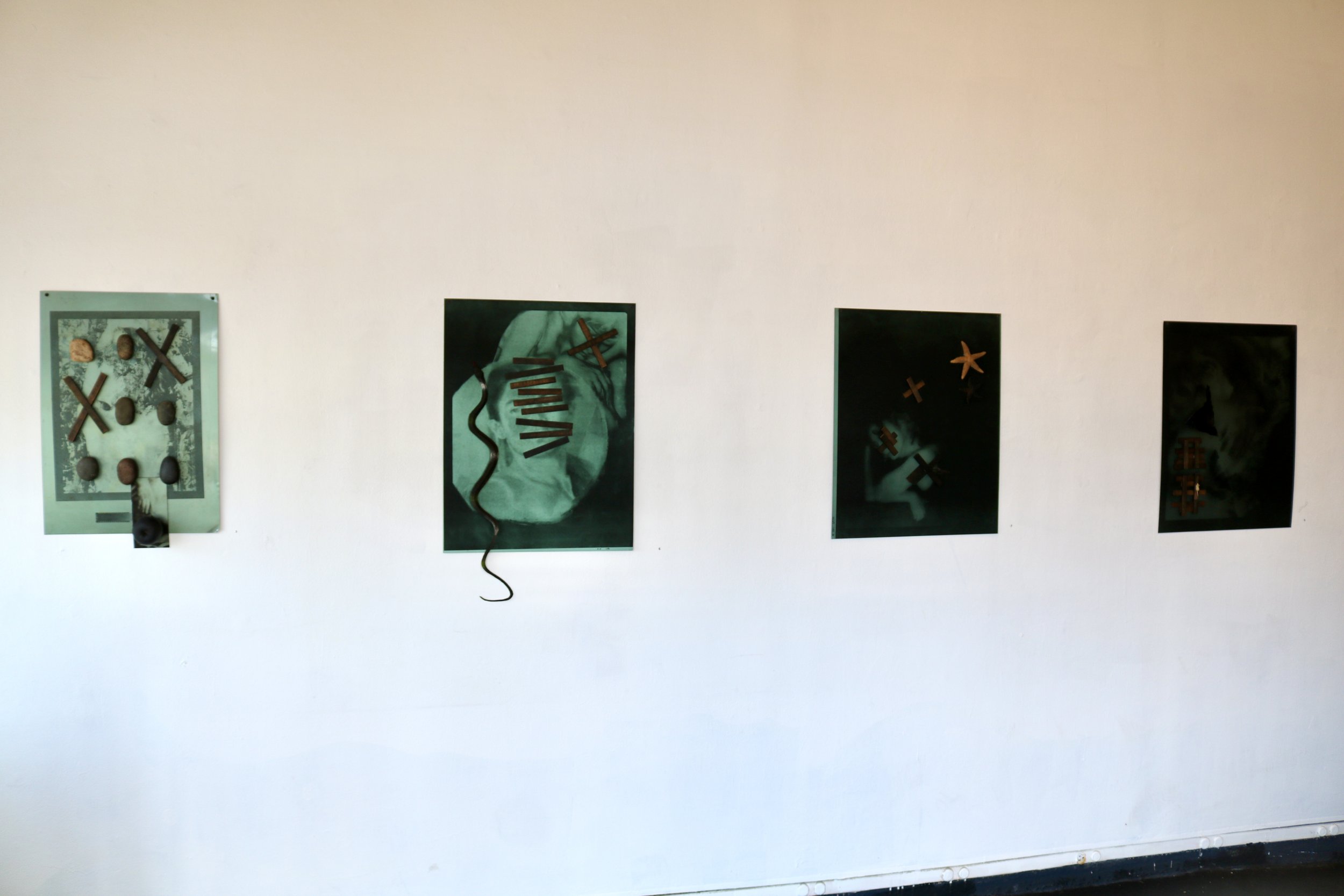 IMG_4021.jpeg
