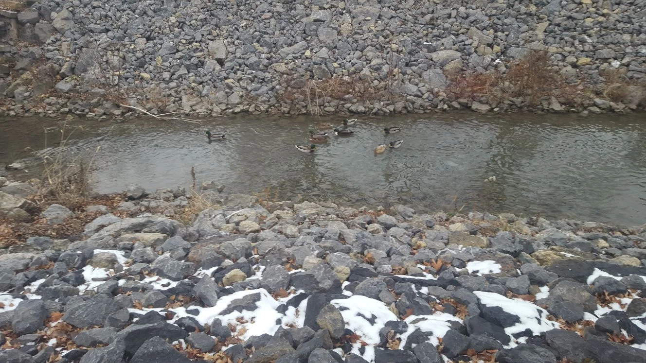 WhatsApp Image 2017-12-17 at 9.40.58 PM.jpeg