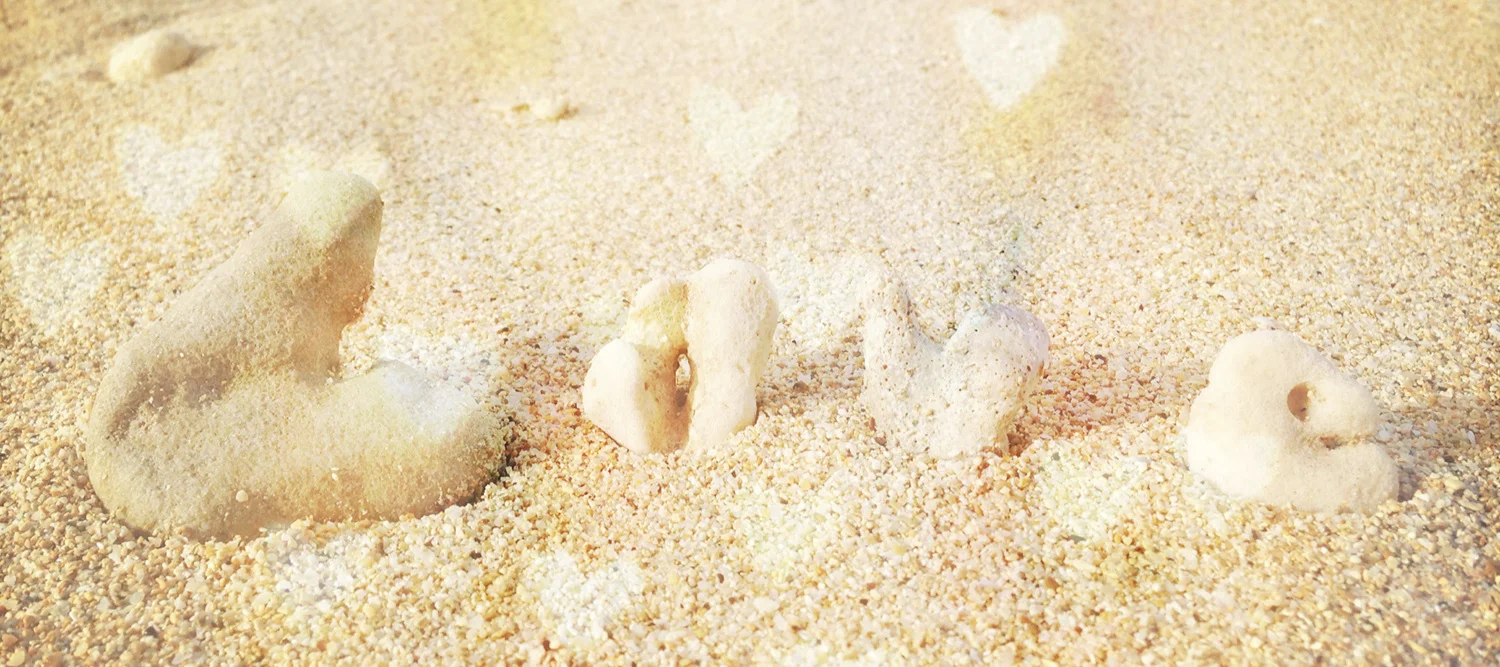 I found these coral “letters” when I returned to Maui in 2015 on a very deeply spiritual, emotional journey home… can’t believe I found an actual “e”! It went back to the ocean immediately after this image was taken. <3