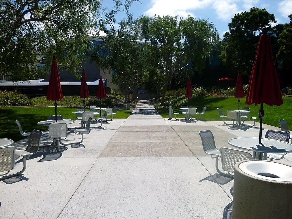 SAIC/Ledios Campus Renovations*