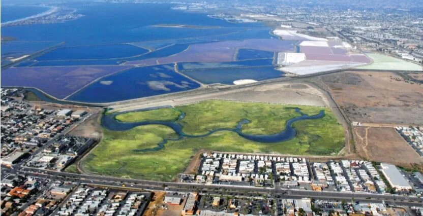 Port of San Diego Pond 20 Mitigation Bank*