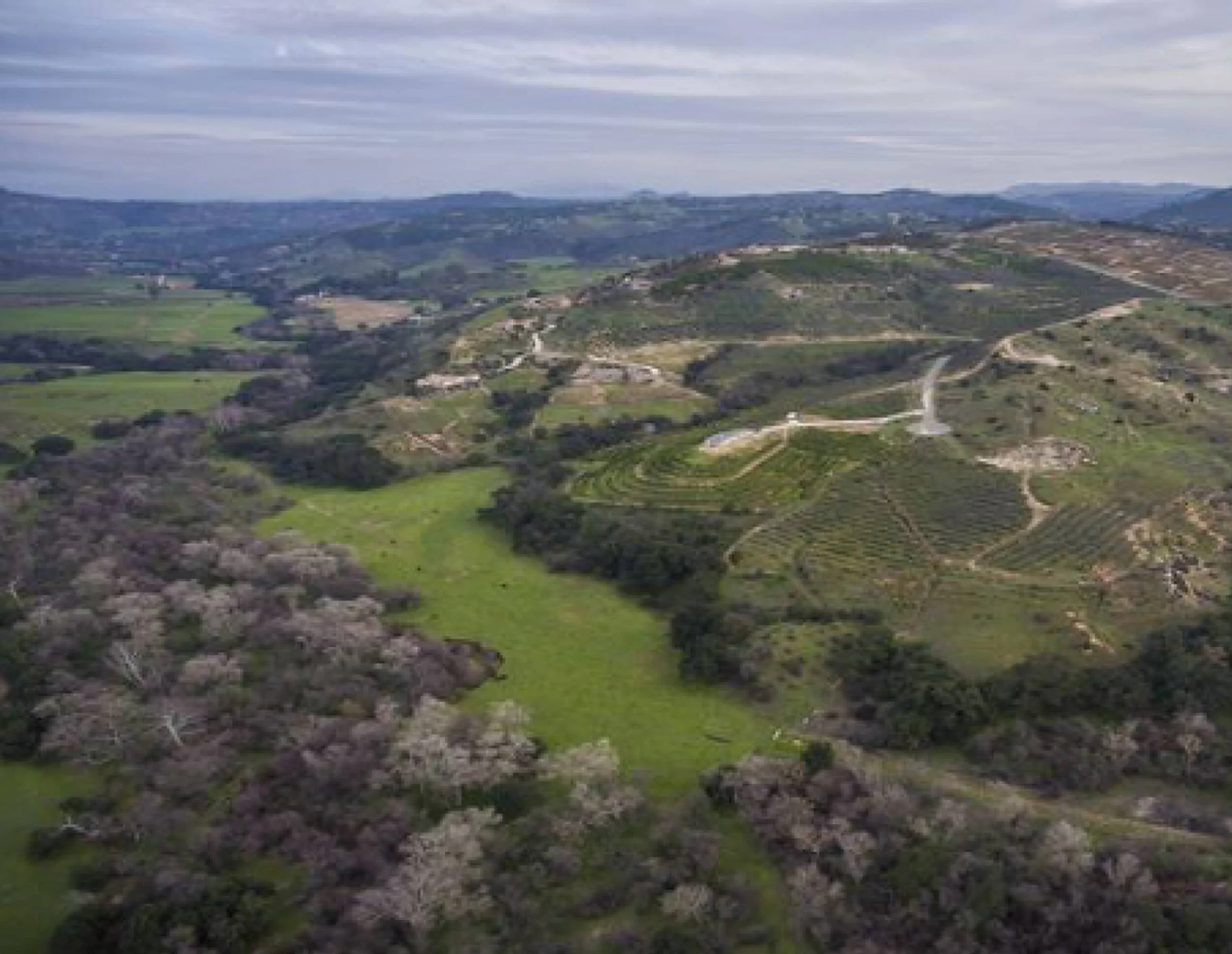 El Cidro Ranch Grassland Restoration*