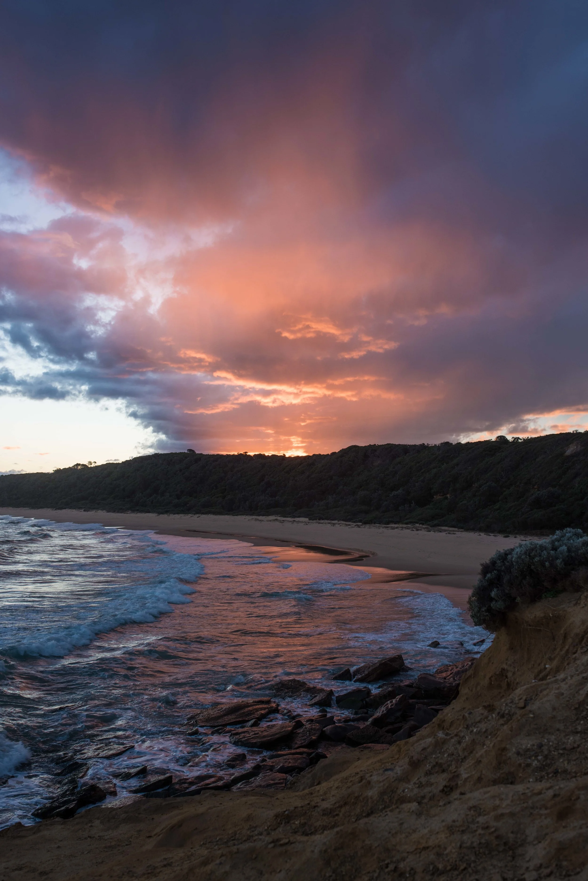 LAKE TYERS-52.jpg