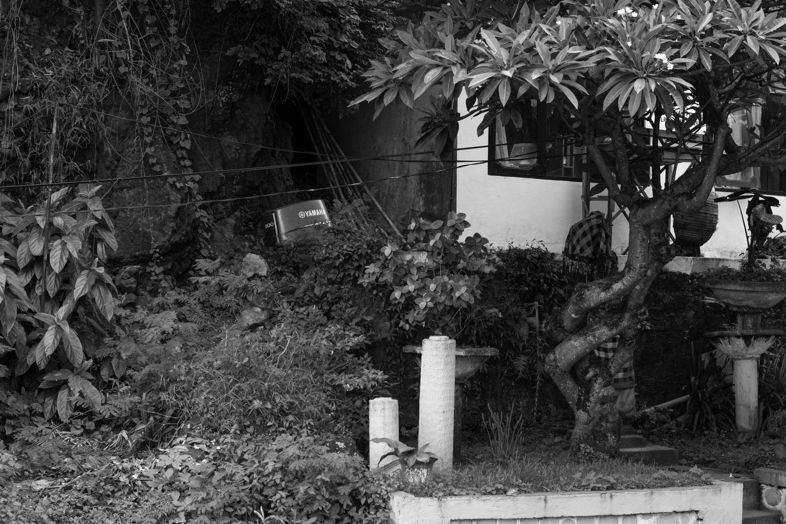 BALI-21.jpg