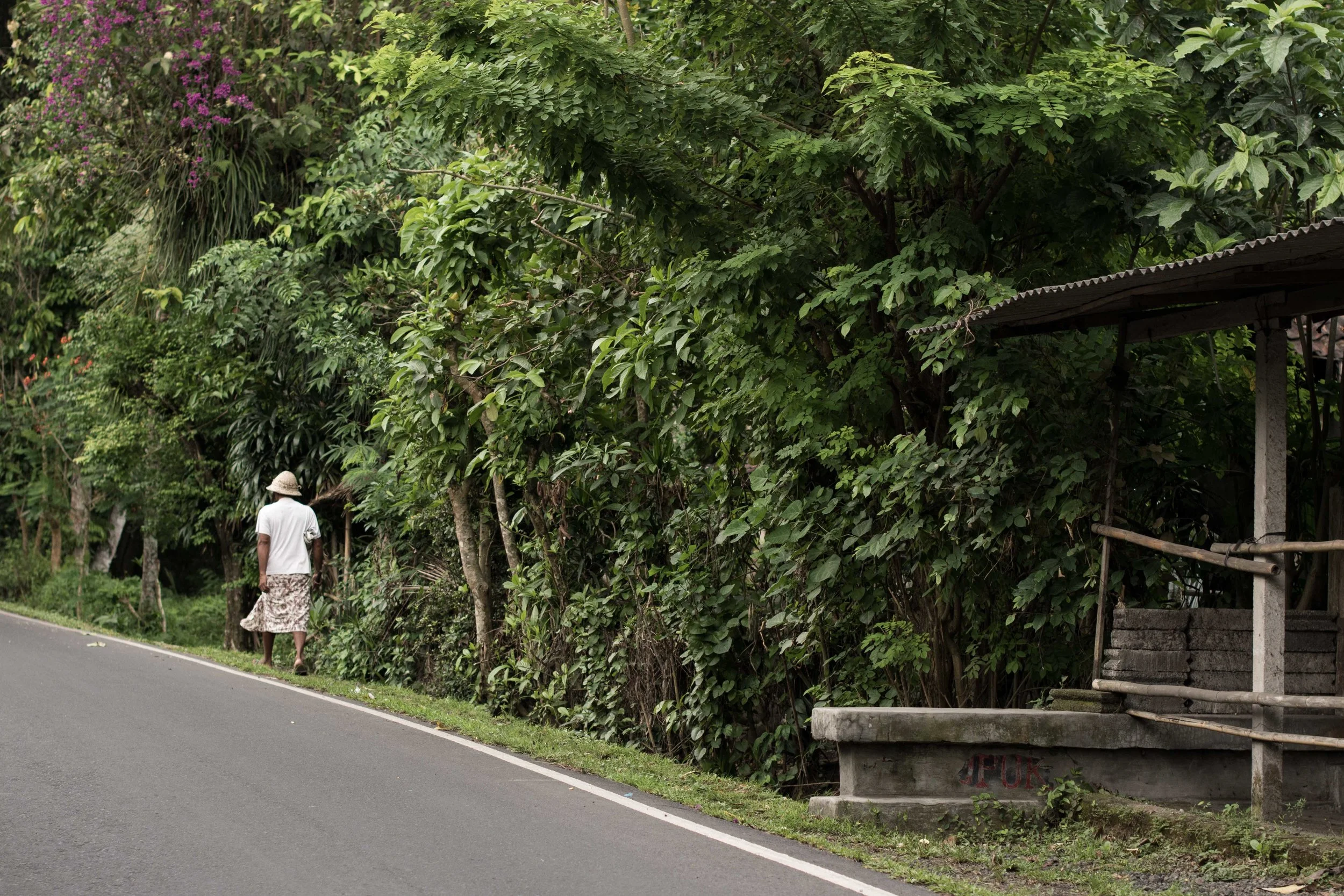 BALI-26.jpg