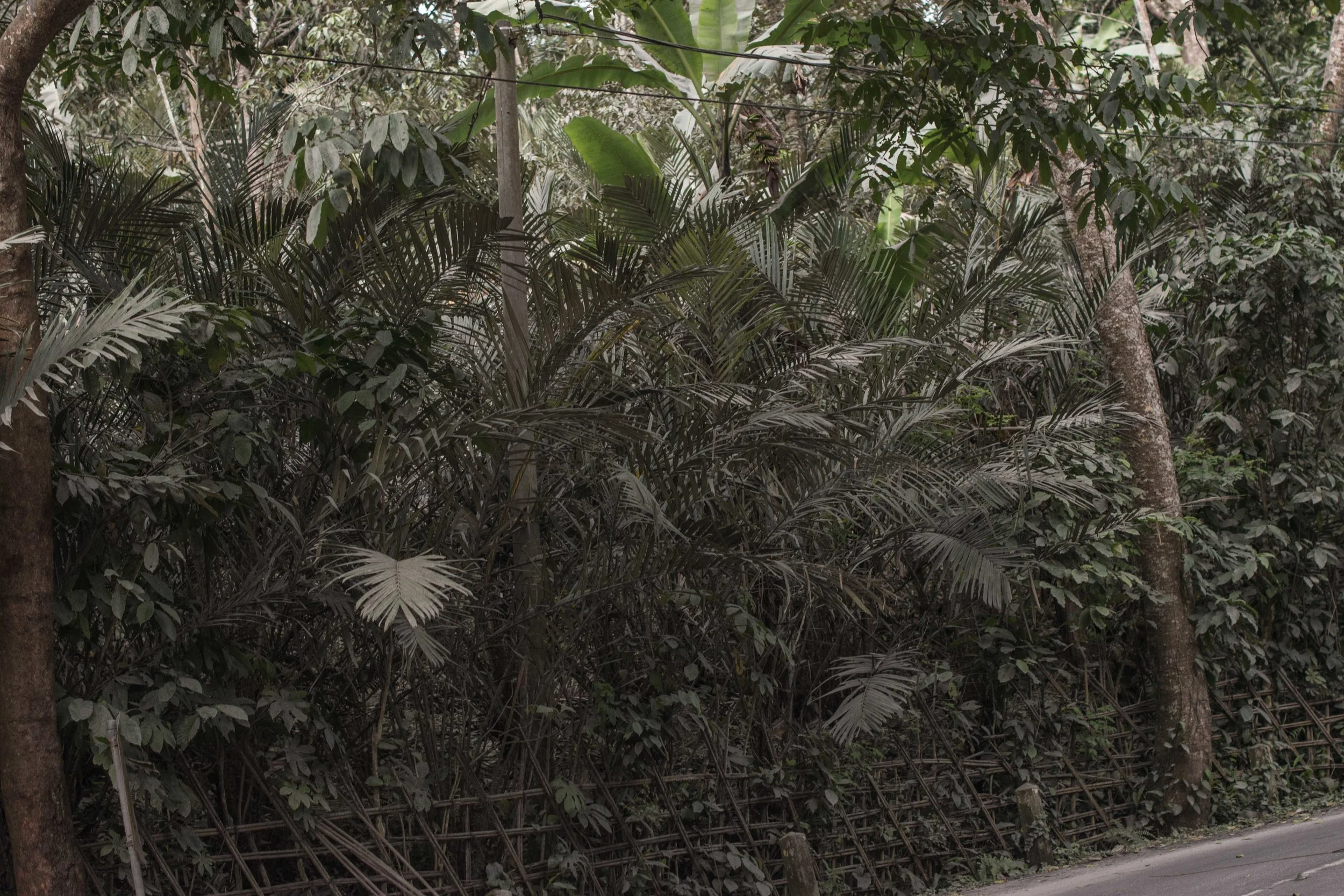 BALI-30.jpg