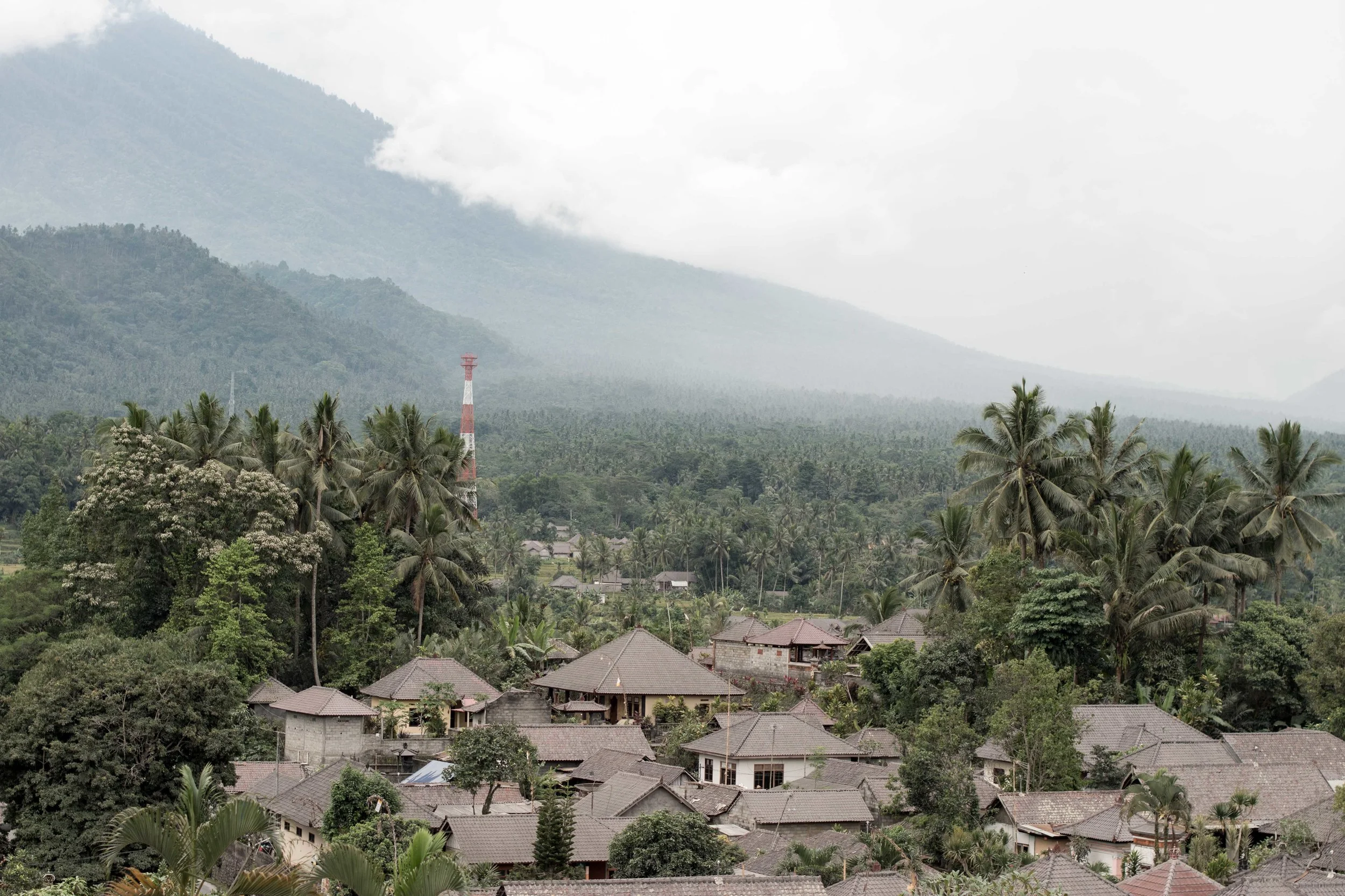 BALI-51.jpg