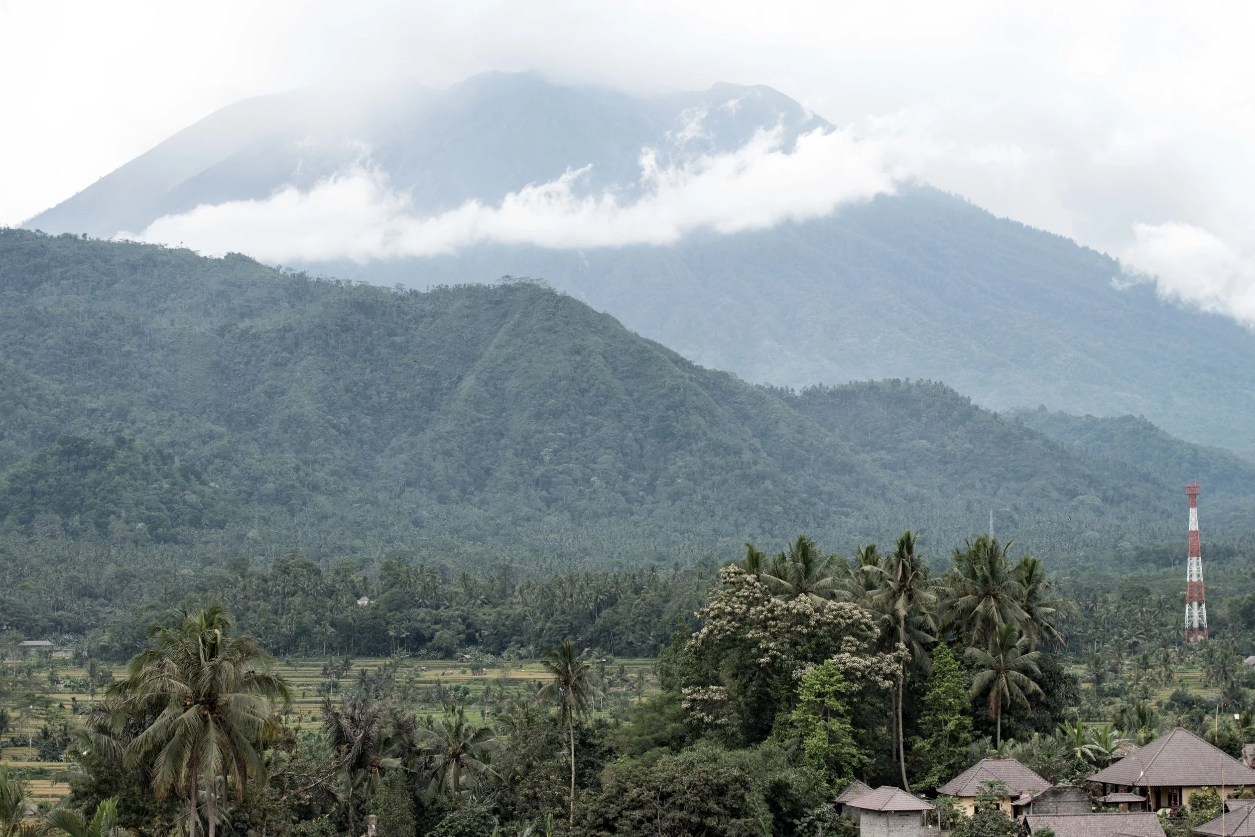 BALI-56.jpg