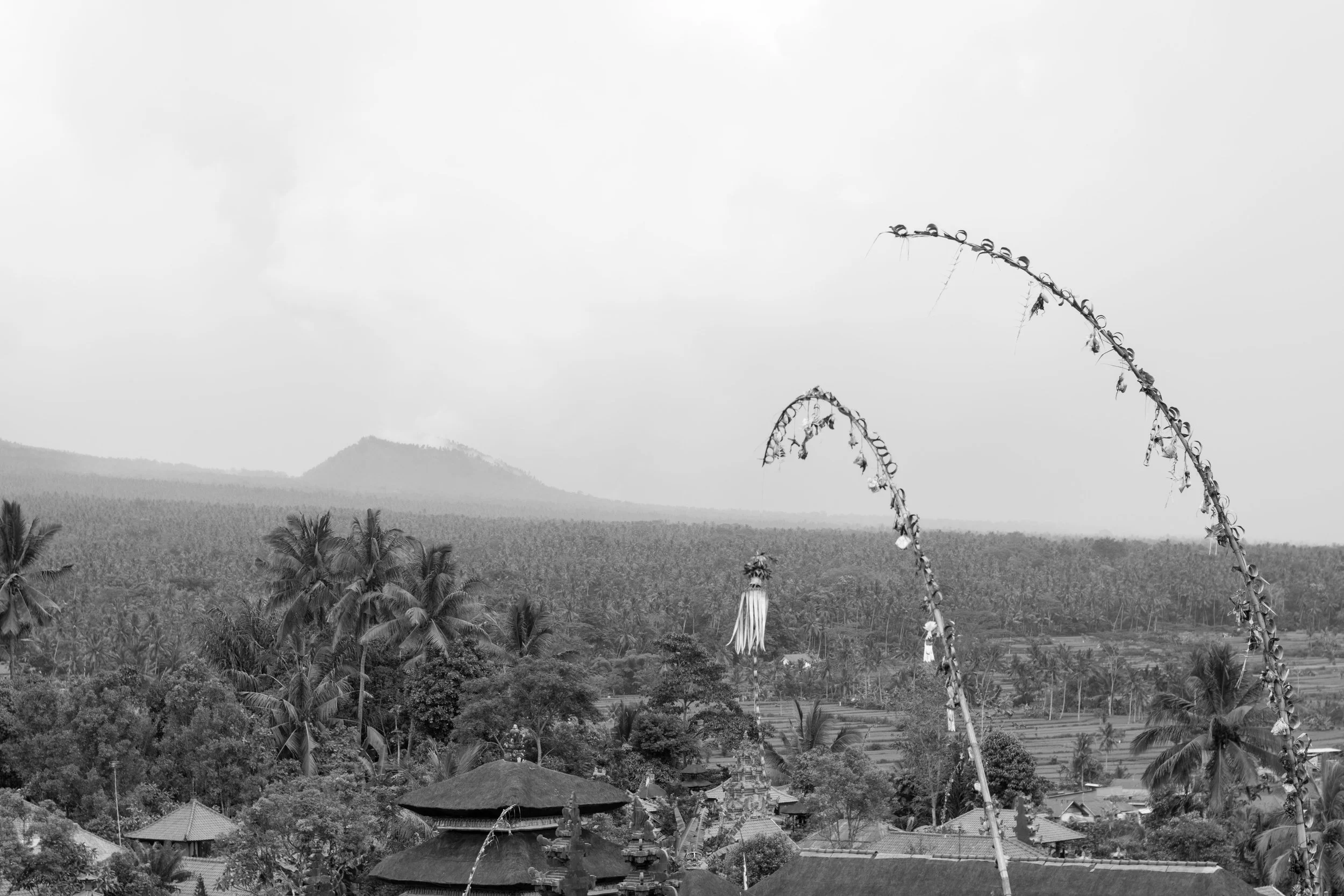 BALI-57.jpg