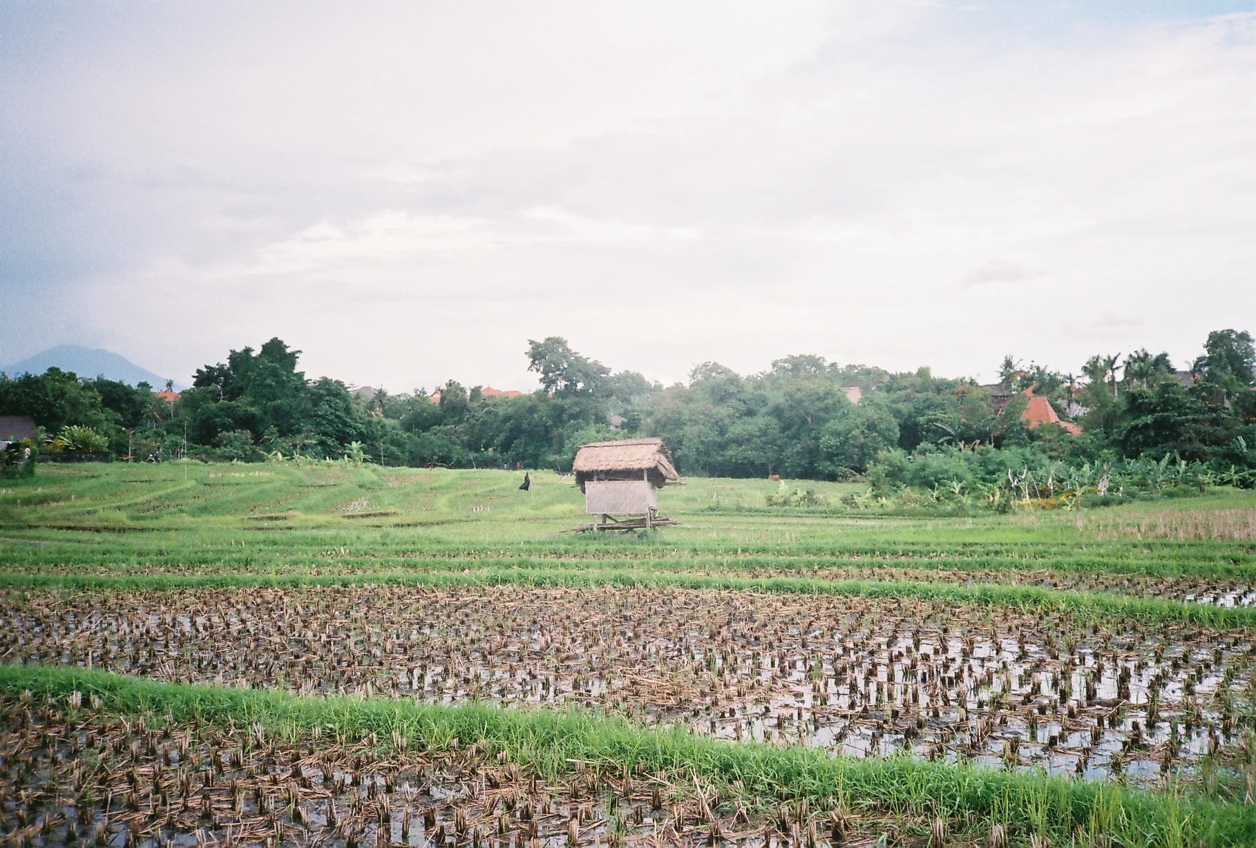 B008600-R4-05-20.JPG