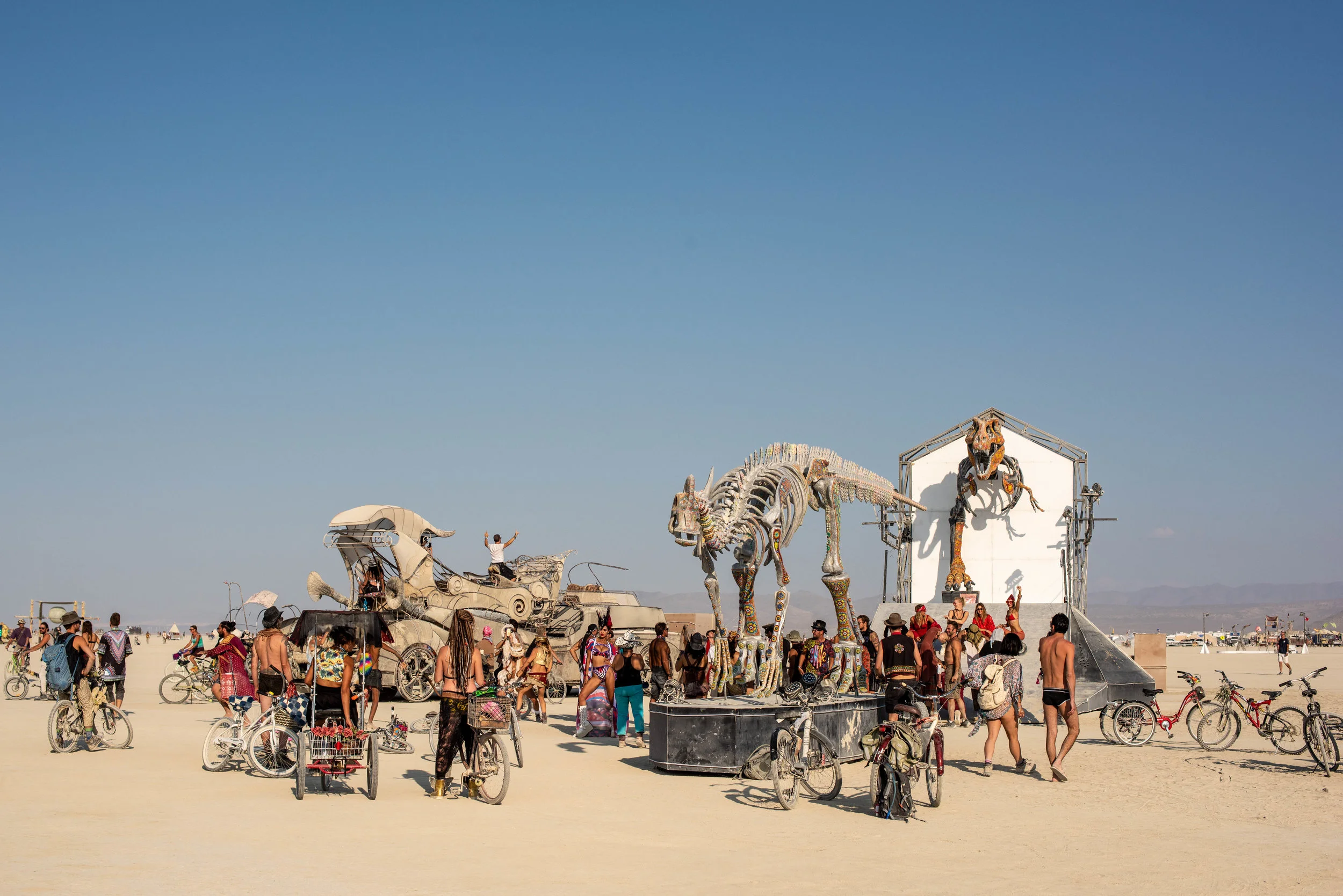 BURNING MAN 2018-45.jpg