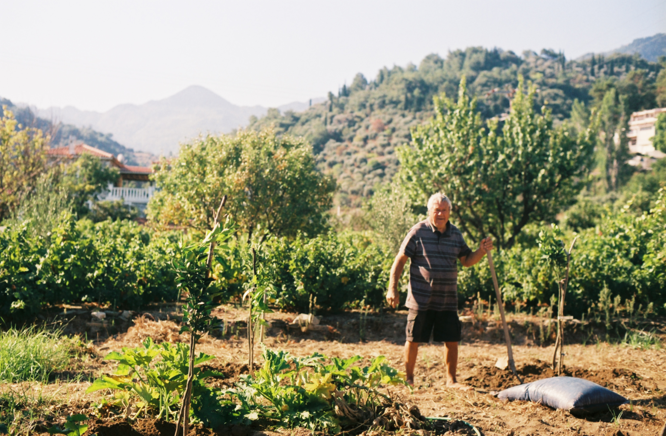 SAMOS 35mm FILM-9.jpg