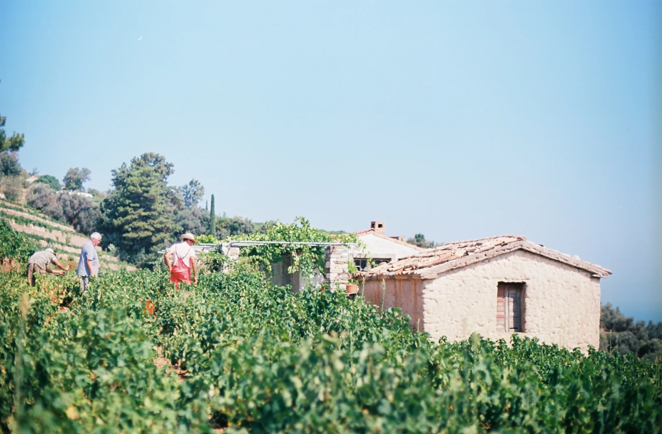 SAMOS 35mm FILM-36.jpg