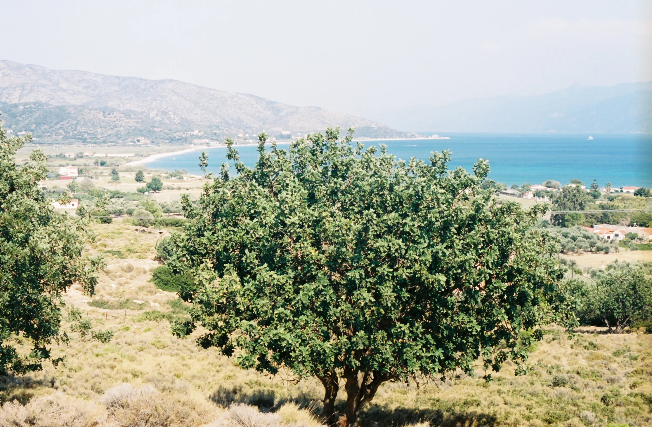 SAMOS 35mm FILM-59.jpg