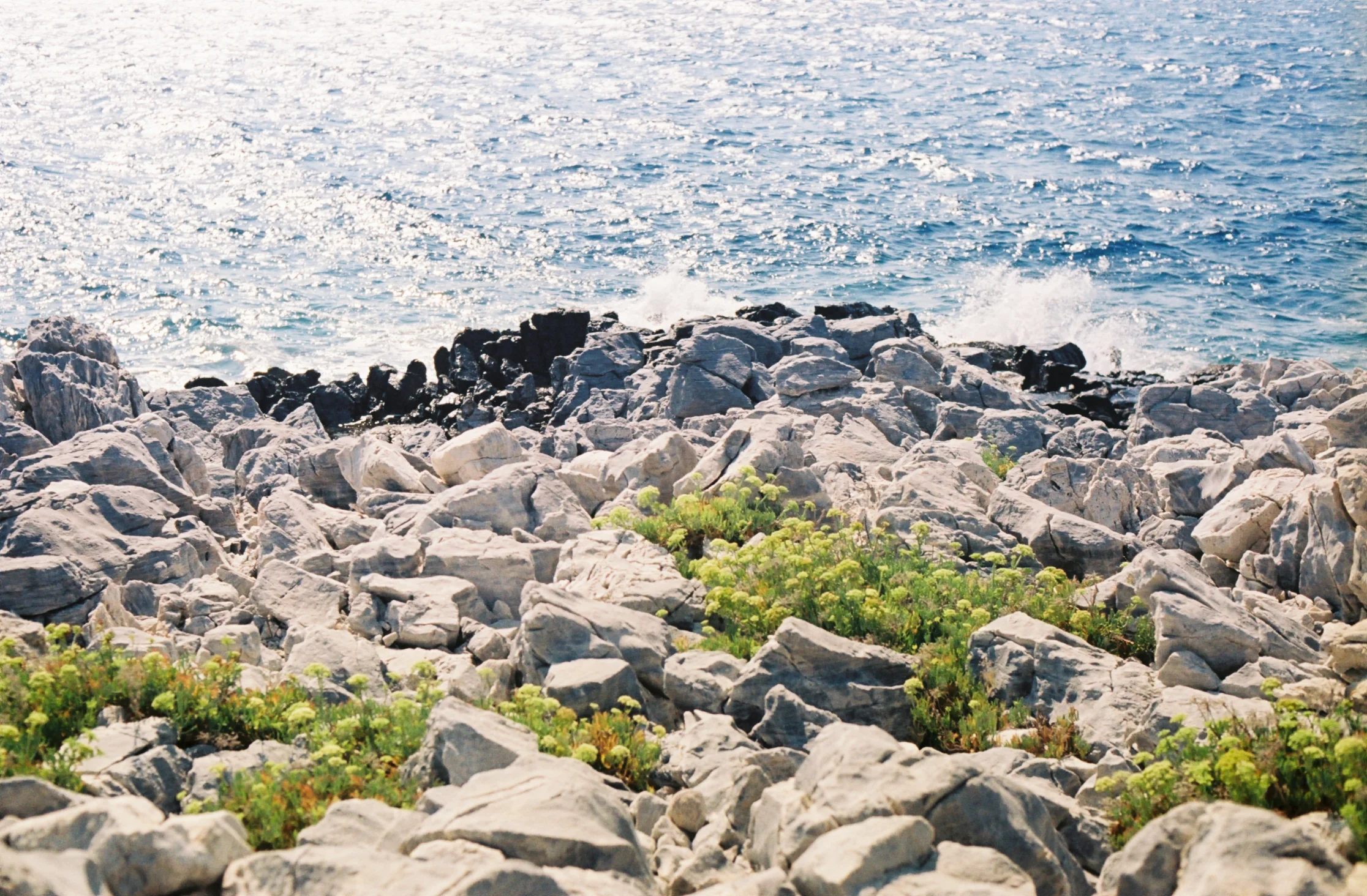 SAMOS 35mm FILM-79.jpg