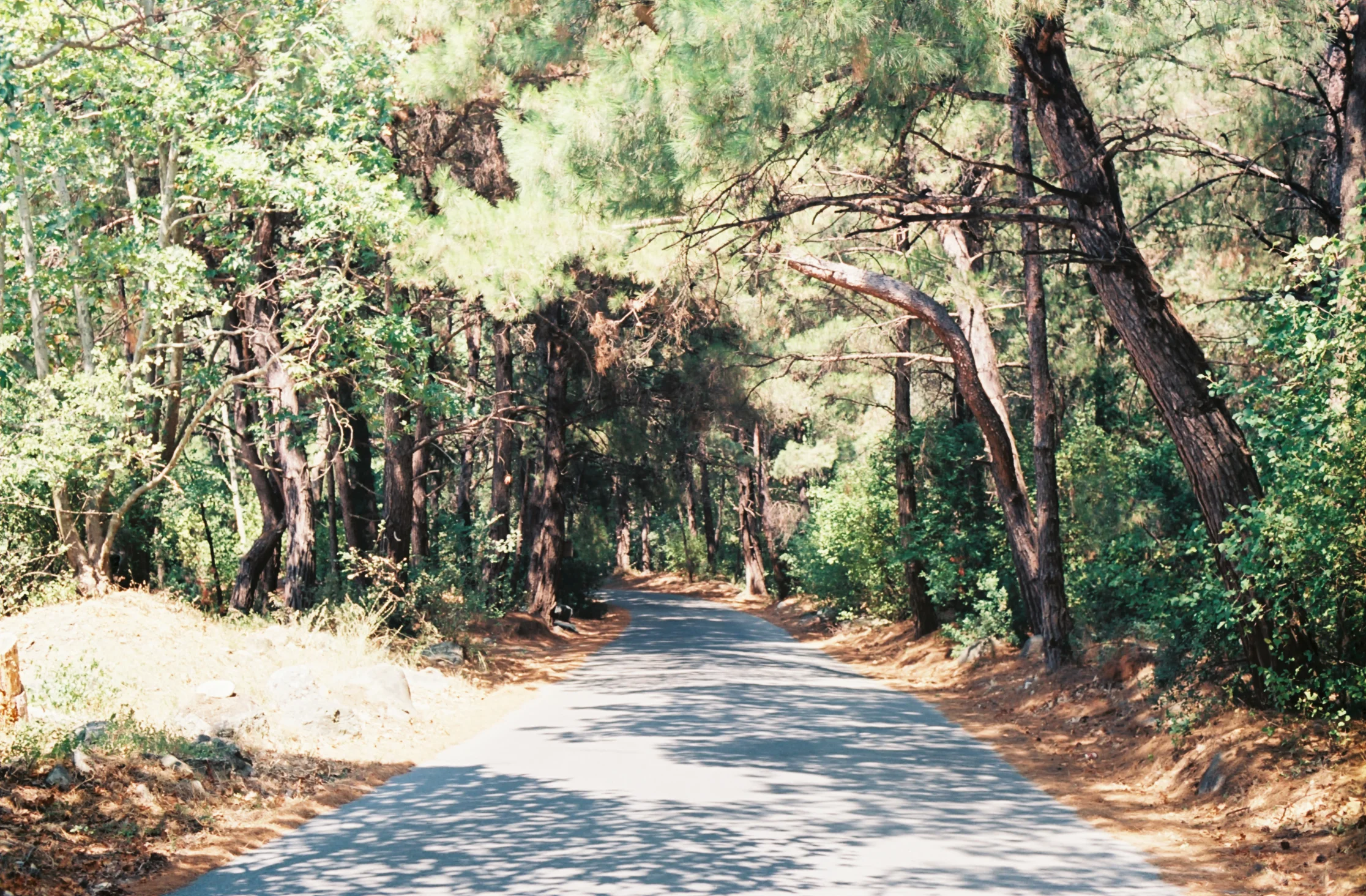 SAMOS 35mm FILM-125.jpg