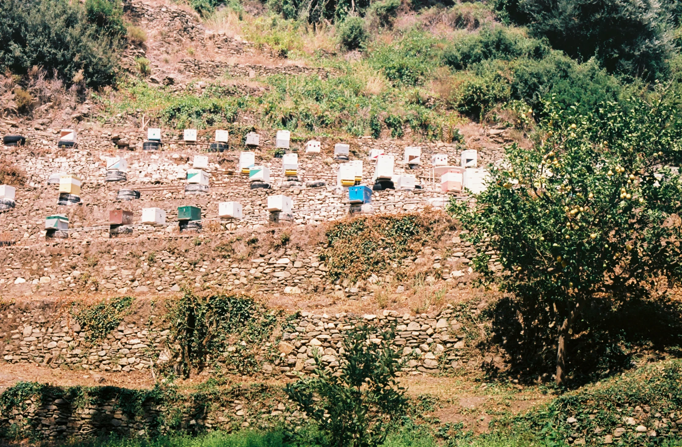SAMOS 35mm FILM-126.jpg