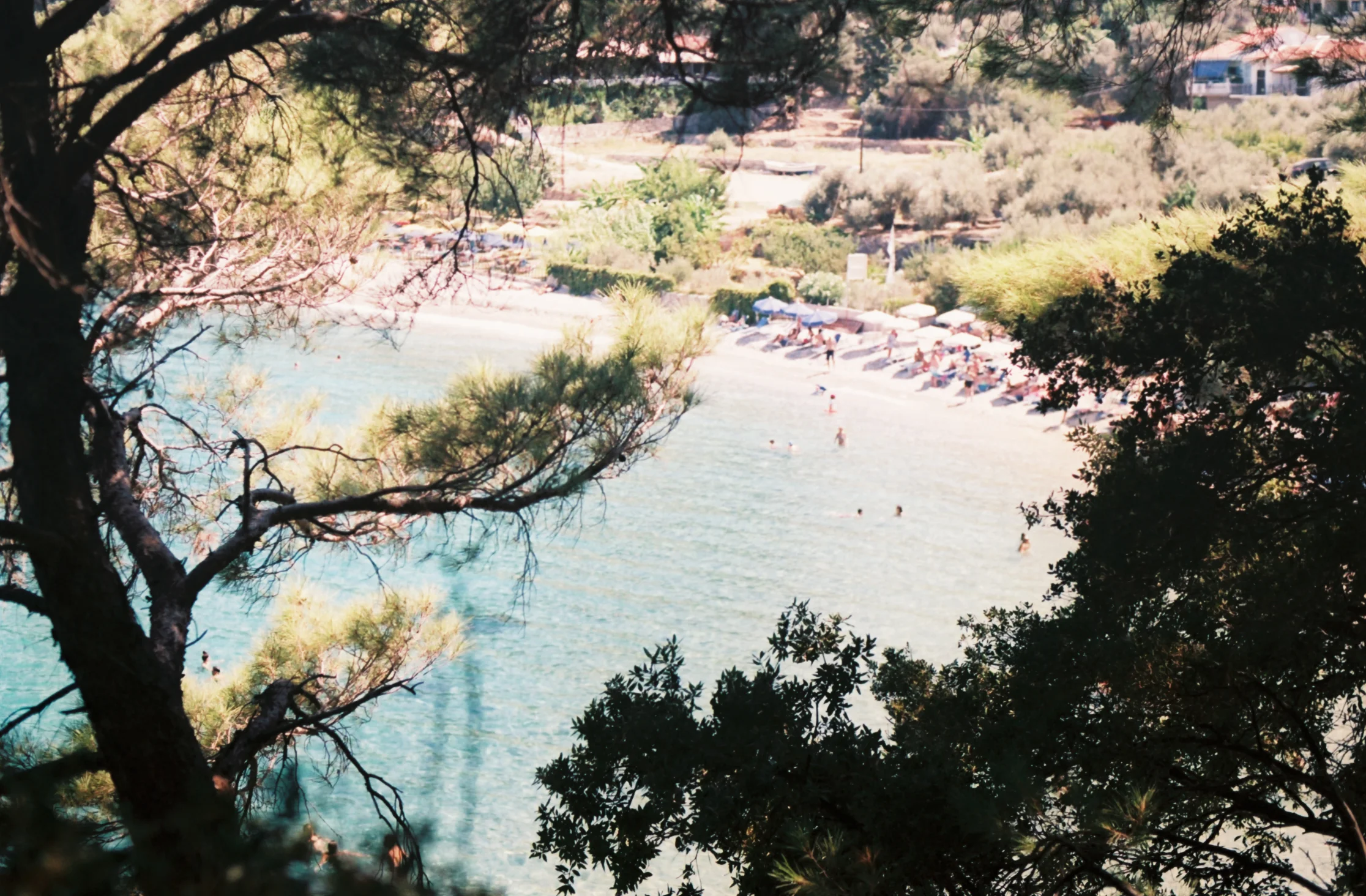 SAMOS 35mm FILM-165.jpg