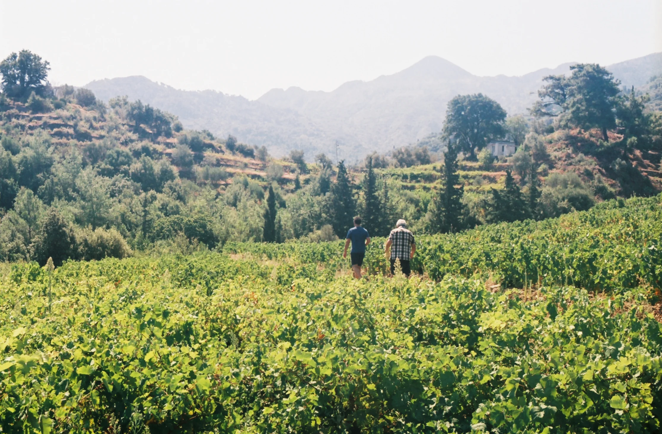 SAMOS 35mm FILM-174.jpg