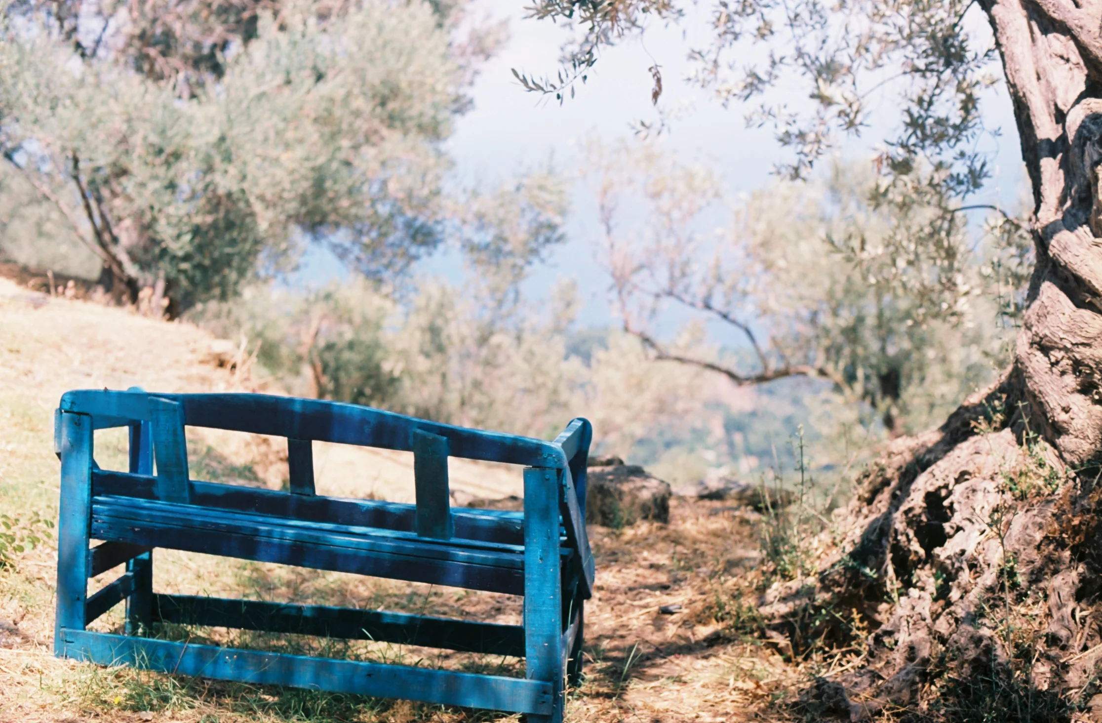 SAMOS 35mm FILM-192.jpg