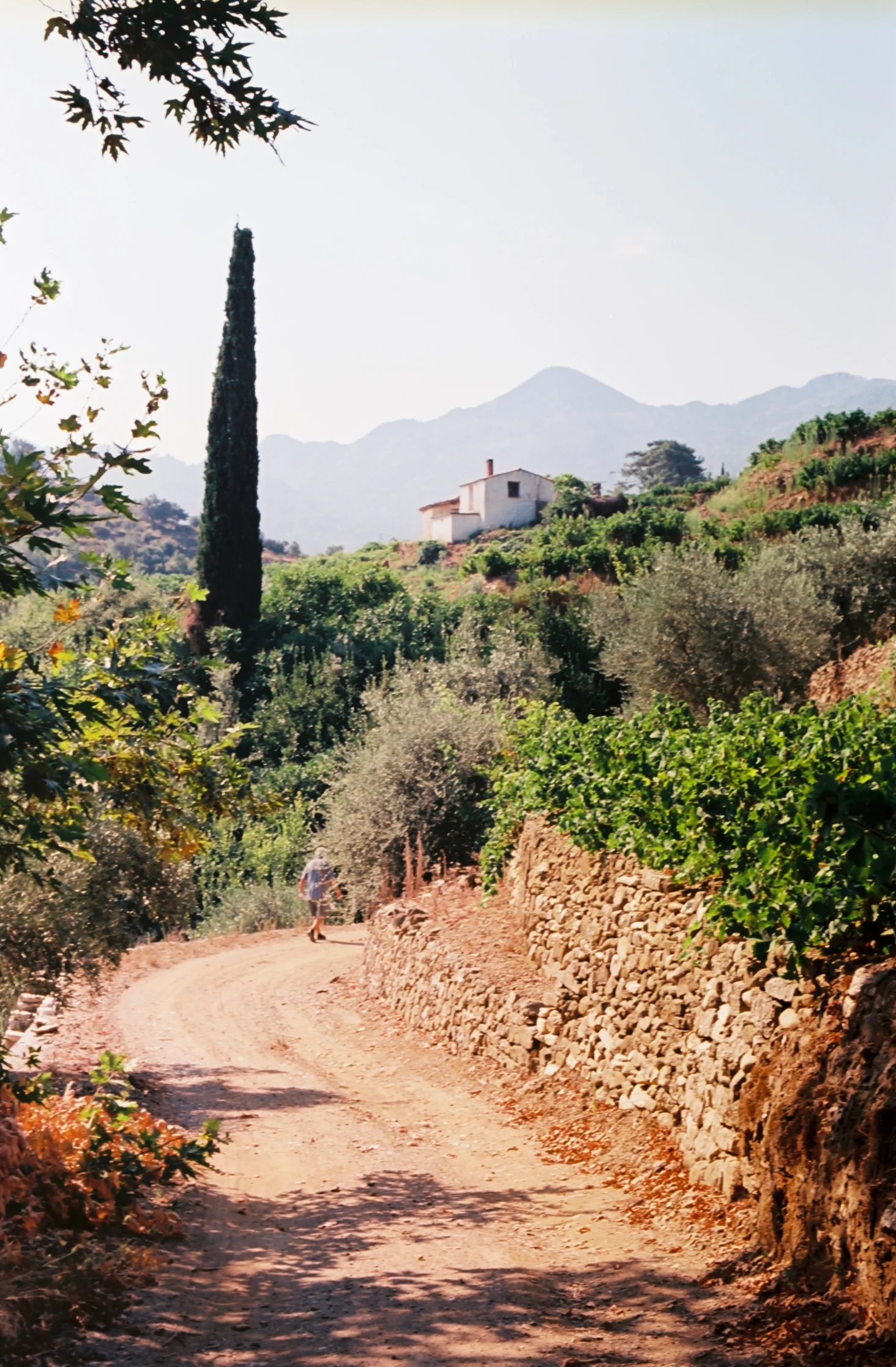 SAMOS 35mm FILM-196.jpg