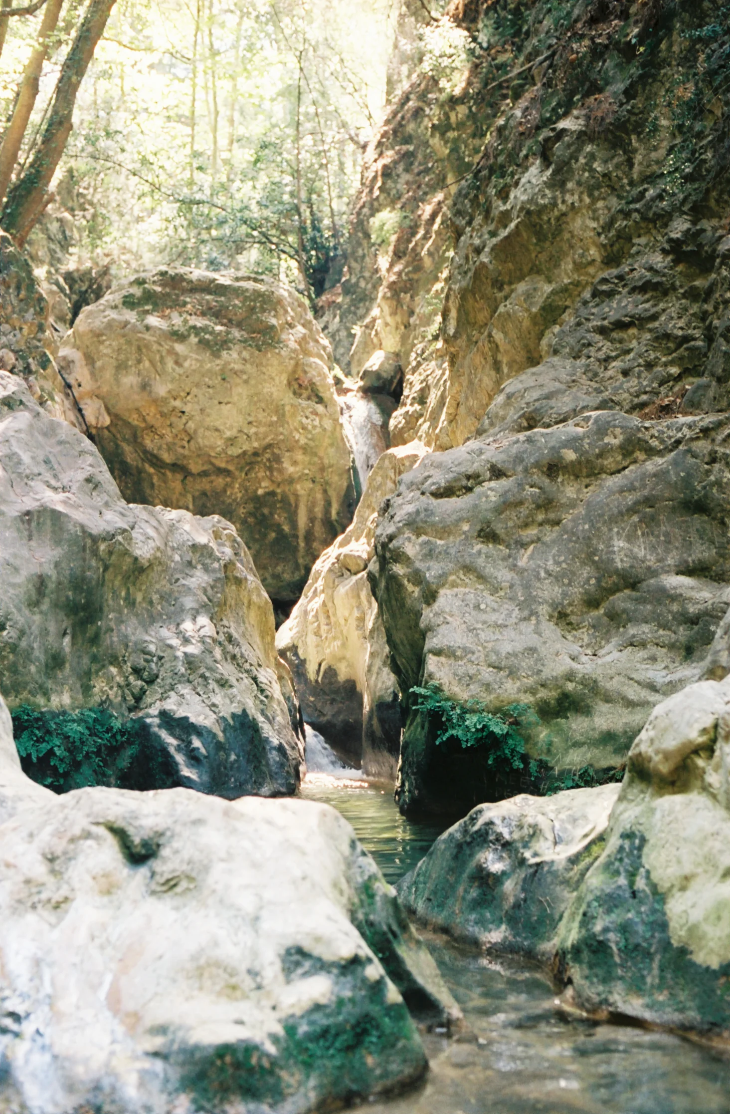 SAMOS 35mm FILM-204.jpg