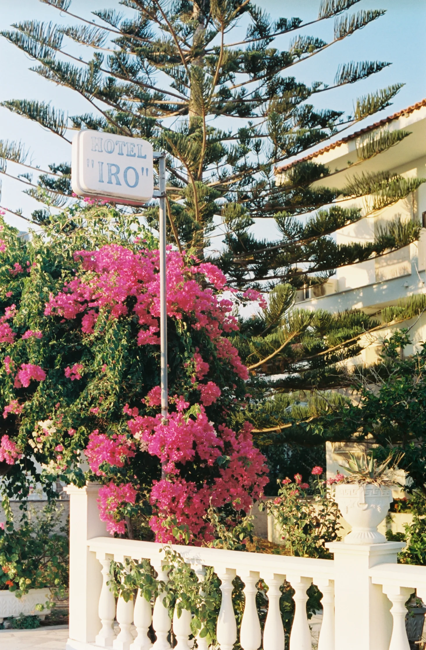 SAMOS 35mm FILM-218.jpg