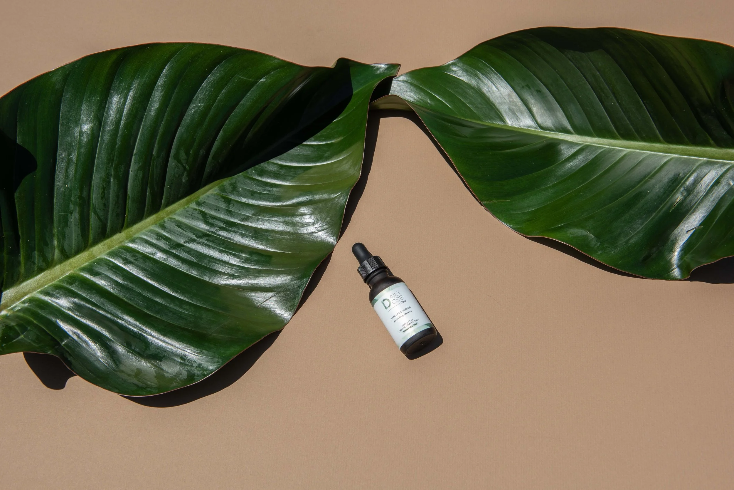 HIGHER WAVE WELLNESS-8.jpg
