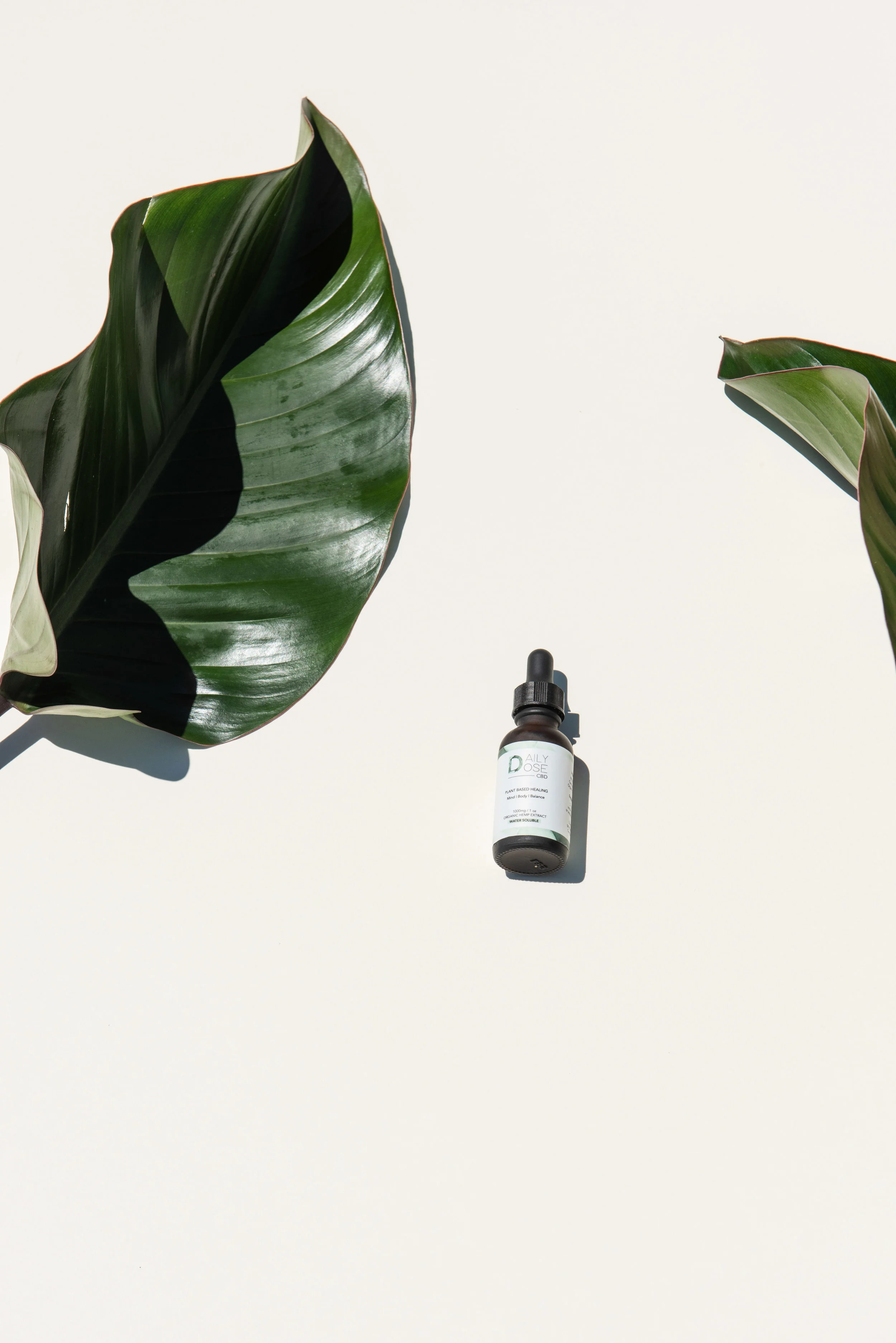 HIGHER WAVE WELLNESS-14.jpg
