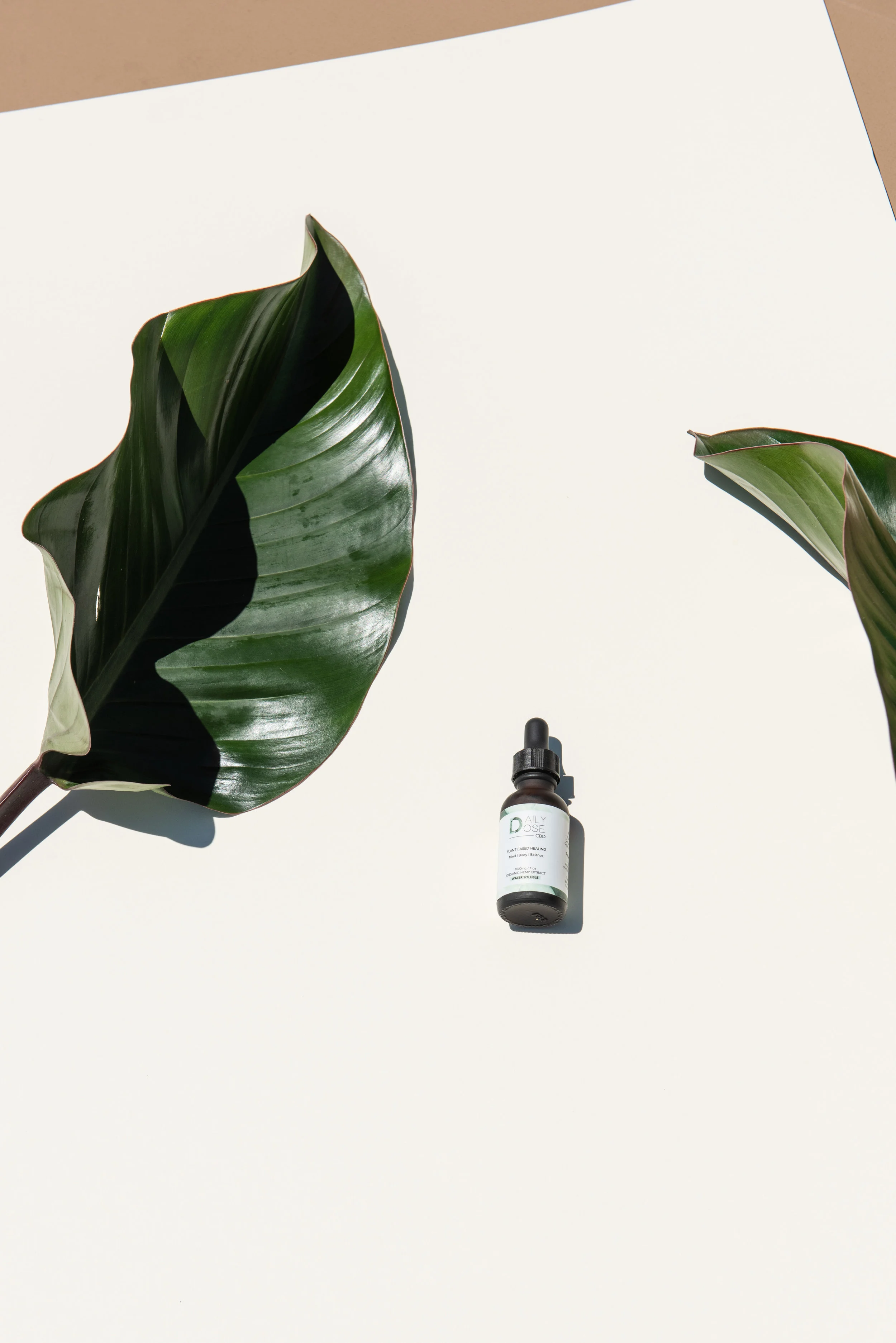 HIGHER WAVE WELLNESS-13.jpg
