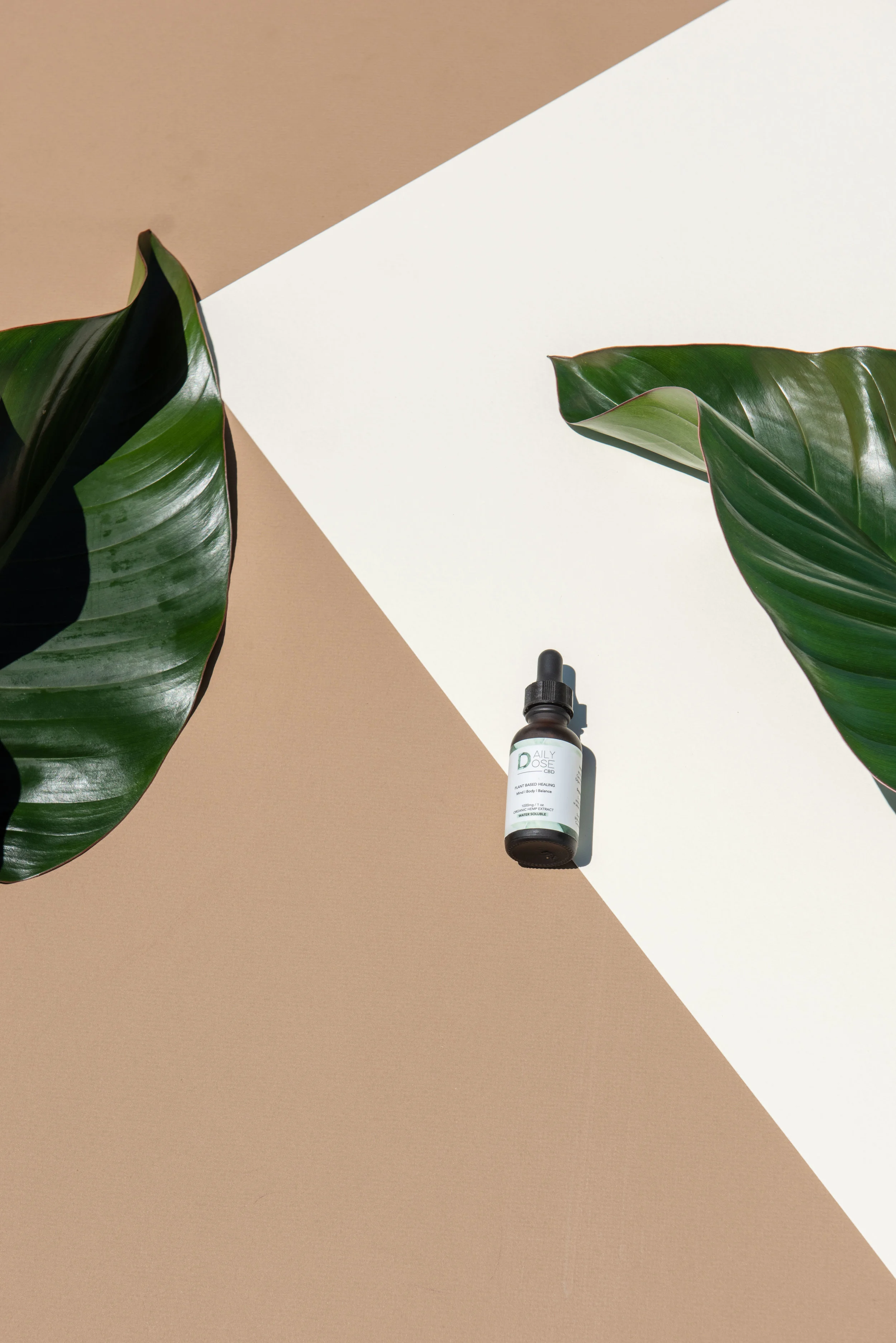 HIGHER WAVE WELLNESS-15.jpg