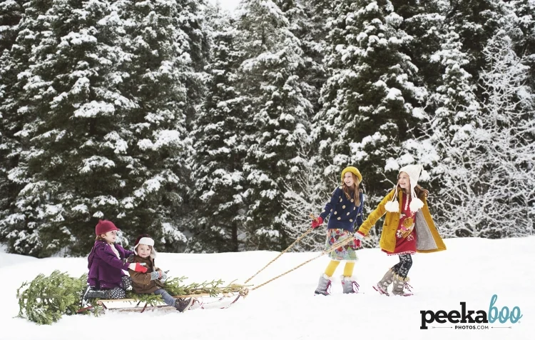 chrismas2014sled1(pp_w750_h476).jpg