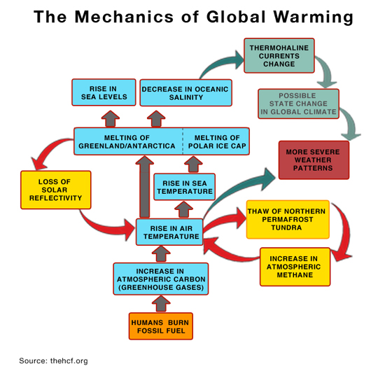 Flow Chart Of Causes Of Global Warming