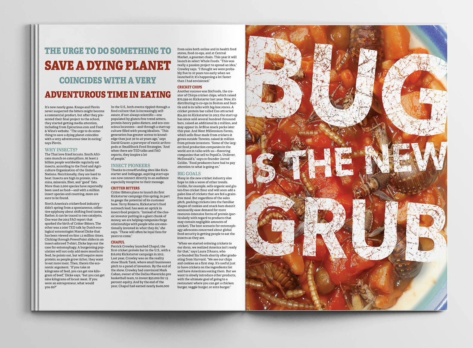 bug_mockup_2-web.jpg