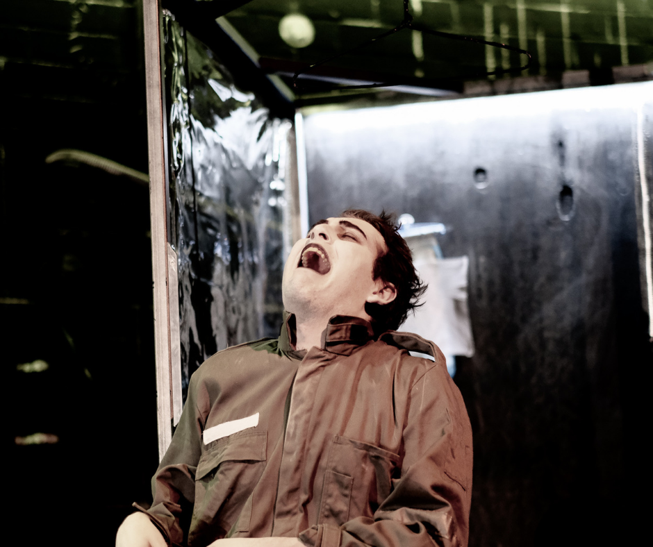 Behind the scenes: The Making of an Insect