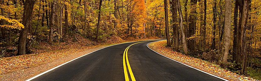 Road 1.jpg