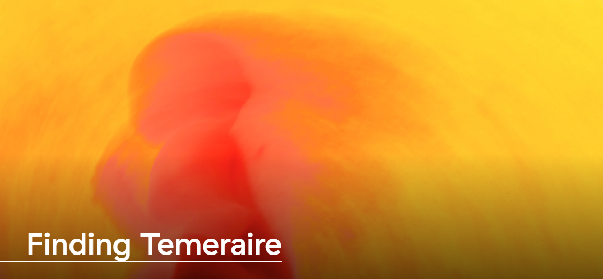 TO FORGIVE IS DIVINE. BUT AT WHAT COST?  To forgive is divine. But at what cost?  Released from a twenty year incarceration, a woman travels back to a small mining town where she lived and worked to reconnect with her past, and to find the father of the child she murdered. In facing the truth, the two may lose everything- or find the unexpected.  Finding Temeraire looks into the unravelling of human relationships against the backdrop of an old mining town in Zimbabwe. Written and directed by award winning playwright, Stanley Makuwe, the hour long play features an all- African cast of Tawanda Manyimo (Ghost in the shell) and Sandra Zvenyika (In Transit)