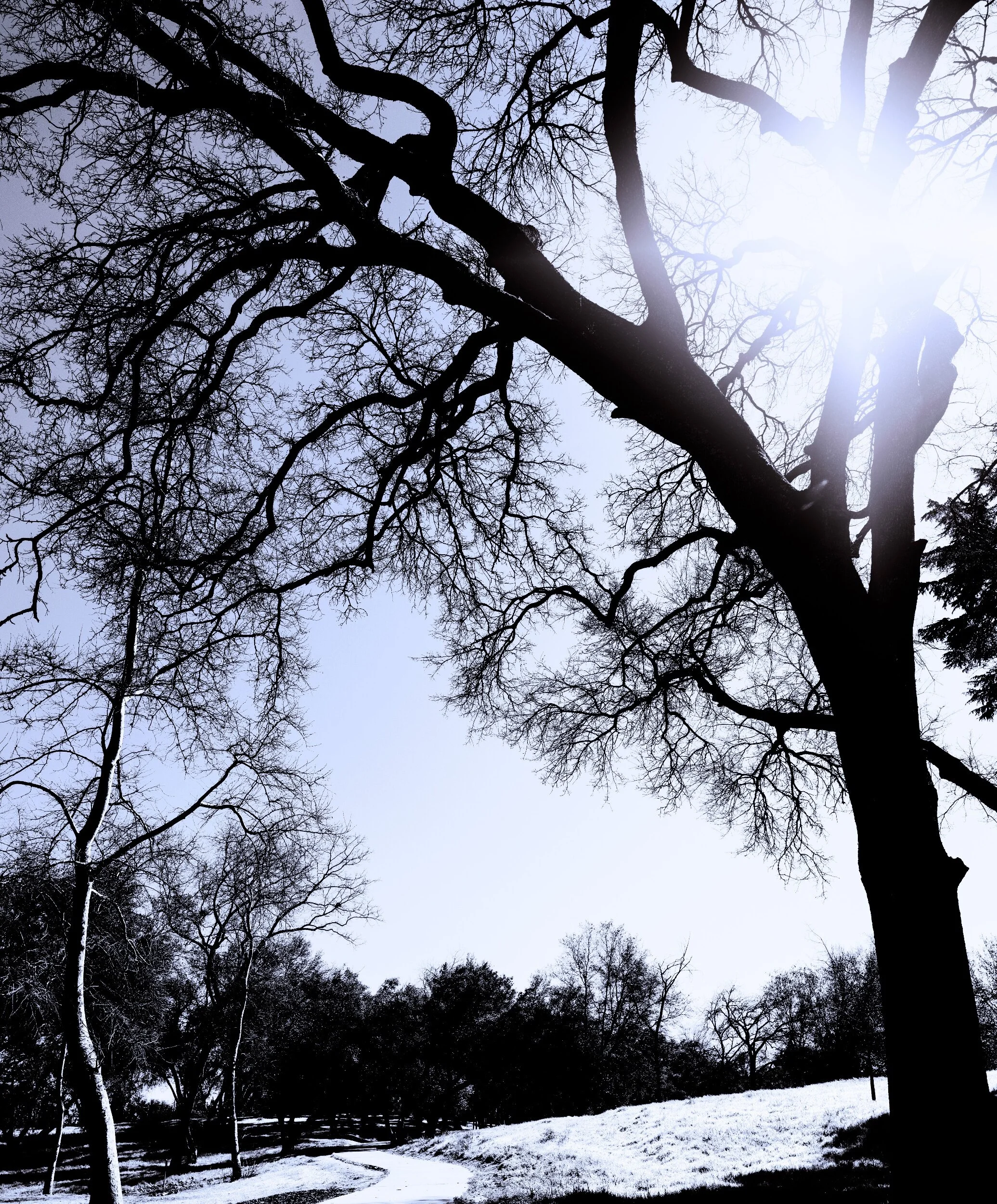 processed__FMZ5169.jpg