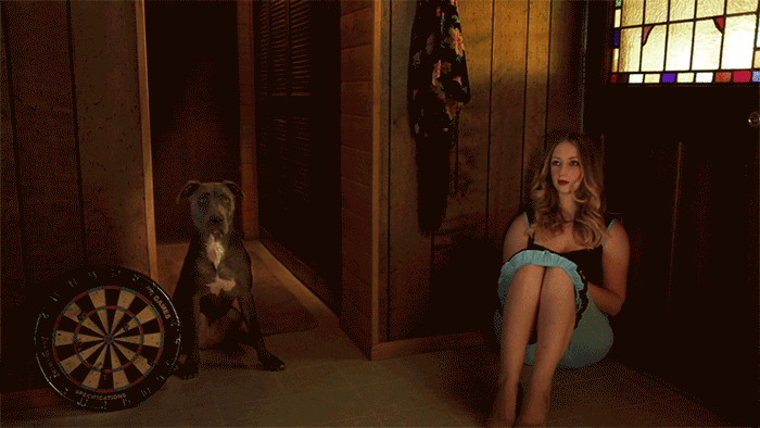 cinemagraph animated gif of girl with dog and dartboard