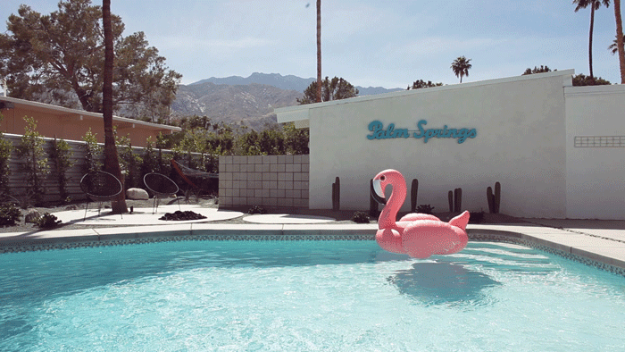 cinemagraph-palm-springs-pool-vacation-flamingo-floaty.gif