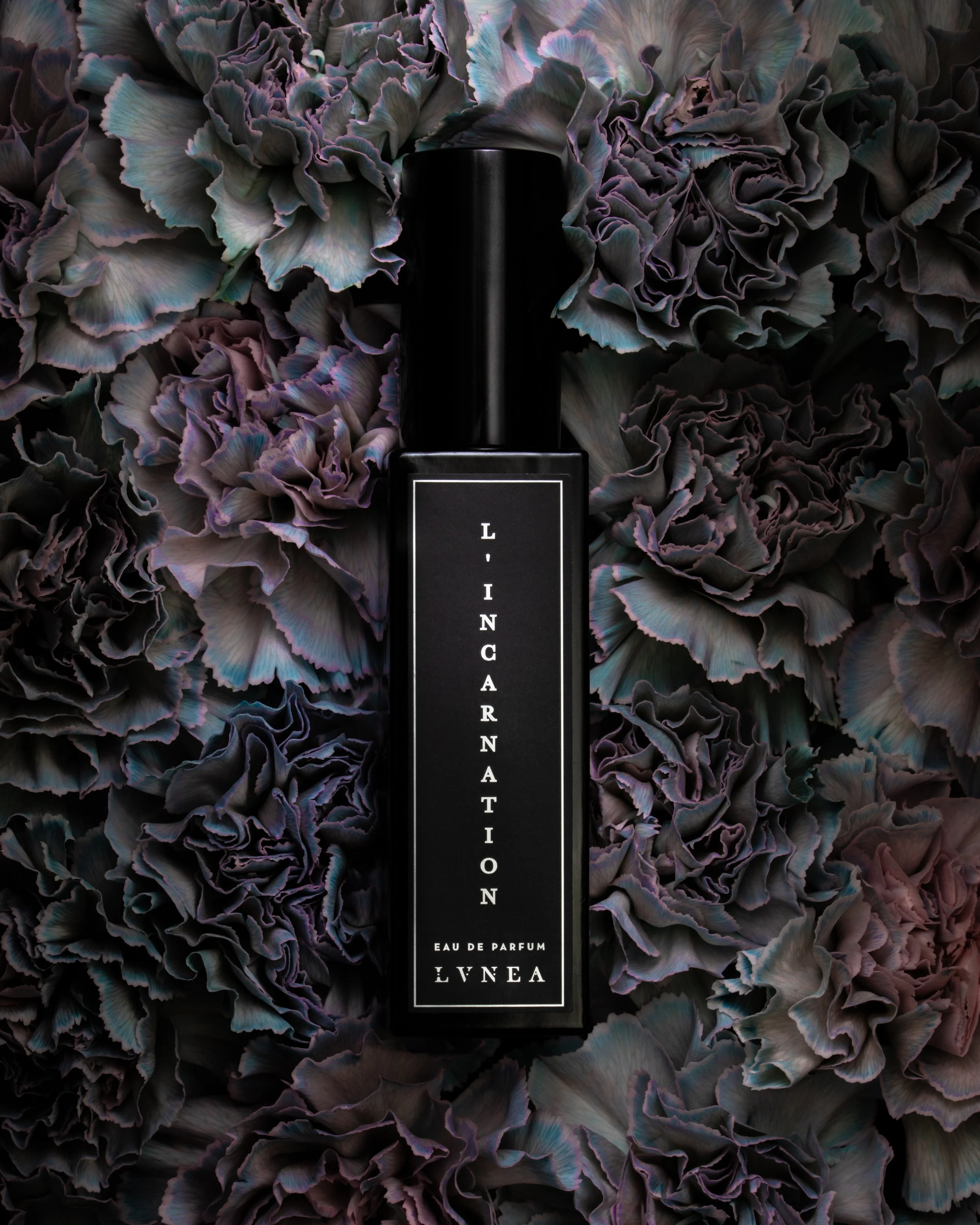 A close-up of a LVNEA perfume bottle nestled among richly textured carnations. Moody botanical fragrance photography.
