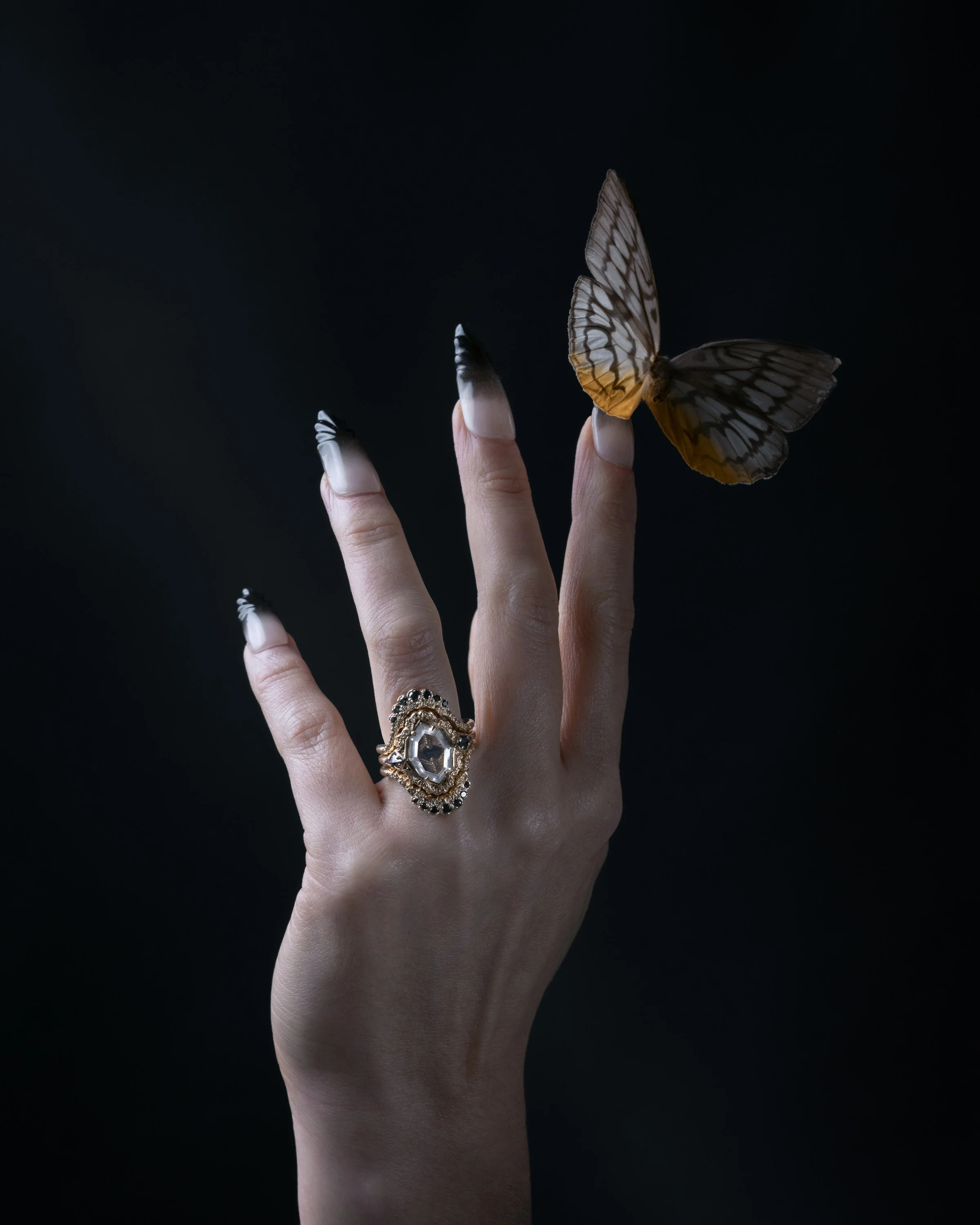 butterfly_hand.jpg